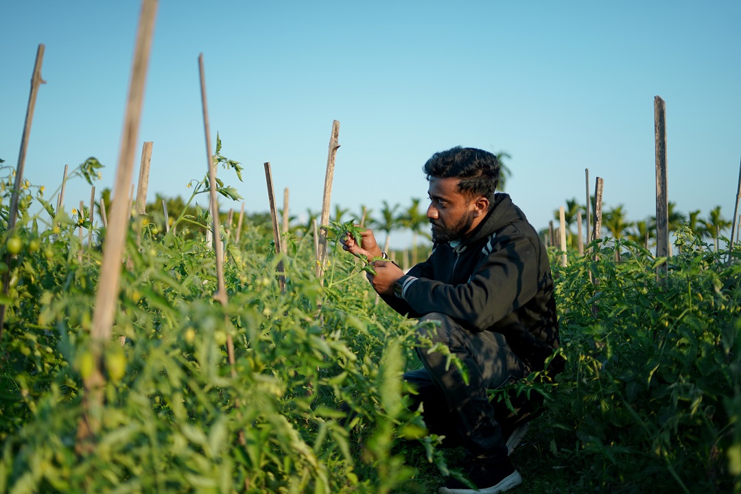 AAU Extension Education & Farmers Outreach